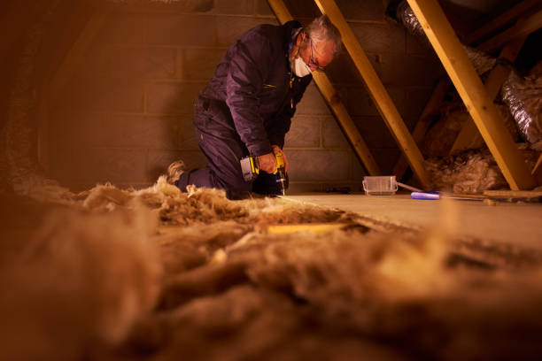 Best Specialty Insulation in Mount Vernon, TX